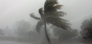 The above-average number of storms predicted by multiple forecasting teams is attributed to unusually warm ocean temperatures and low wind shear.