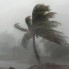 The above-average number of storms predicted by multiple forecasting teams is attributed to unusually warm ocean temperatures and low wind shear.