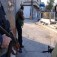 syria