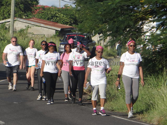 (Photo Gallery)- Pink Lily 5th Anniversary Walk