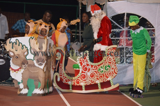 (Photo Gallery)-Brown Hill Christmas Tree Lighting 2014