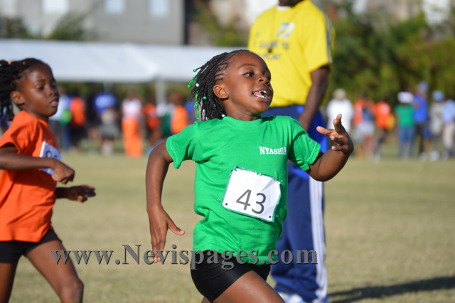 (Photo Gallery)- St. Thomas' Primary School Meet 2015