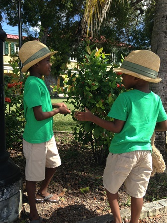 Navigating “Island” Parenting