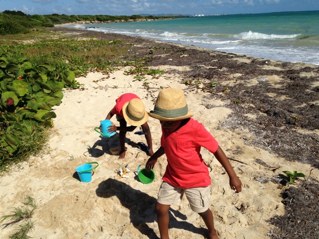 Navigating “Island” Parenting