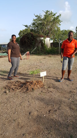 I.R.D Week 2015 Social Responsibility Tree Planting..