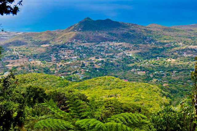 Our island, Nevis and its crime problem