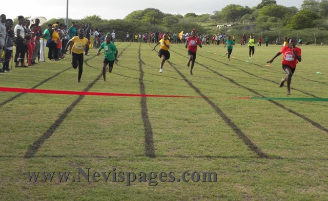 (Photo Gallery):Ivor Walters Primary School Sports Meet 2016