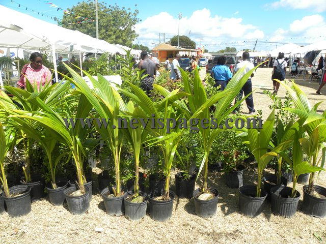 (Photo Gallery ):Agriculture Open Day Food Fair 2017