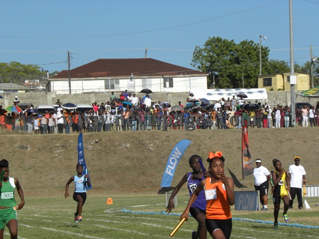 (Photo Gallery):Gulf Insurance Inter Primary School Championship 2017