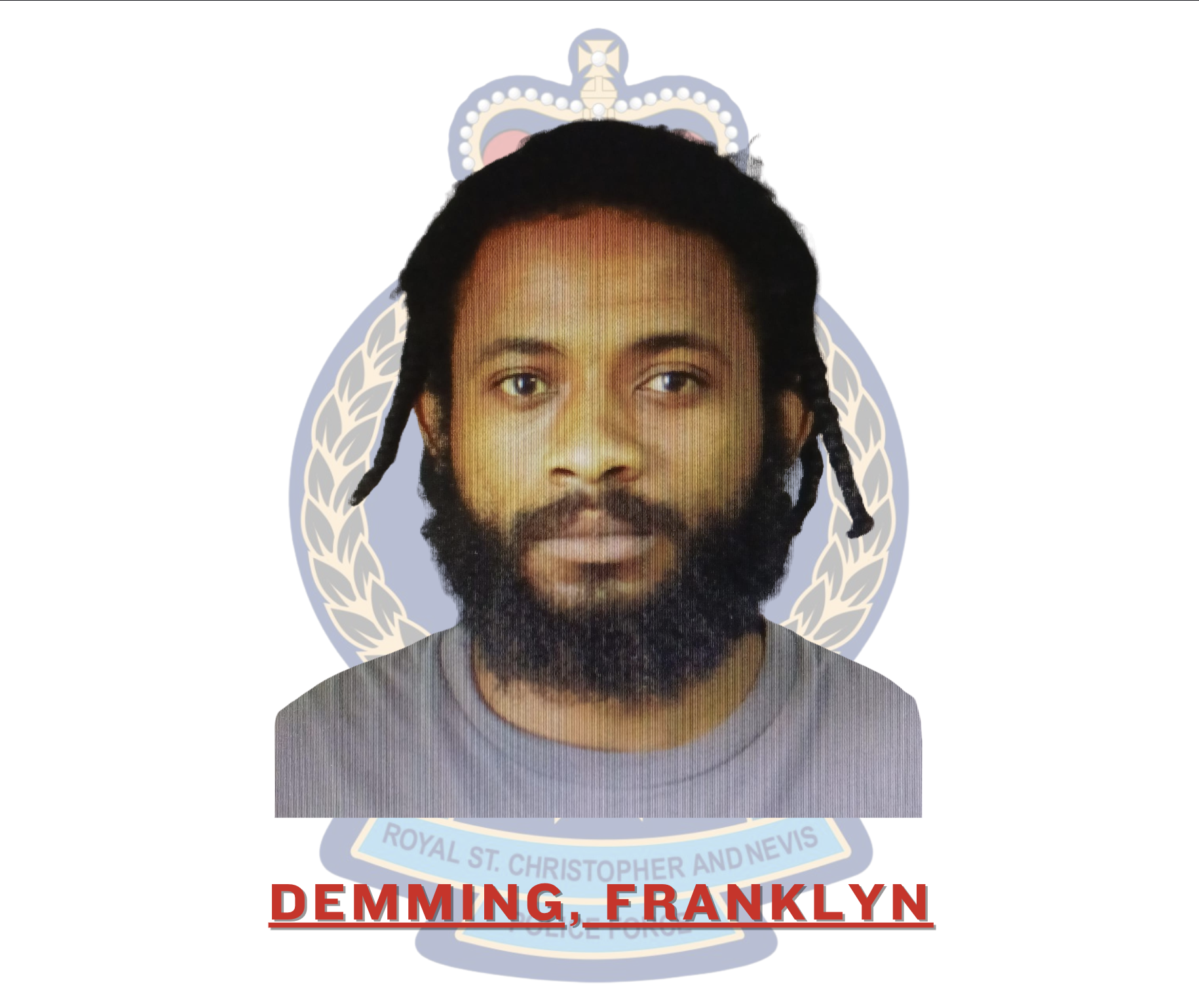 Franklyn Demming Charged with Obstruction-Related Offences