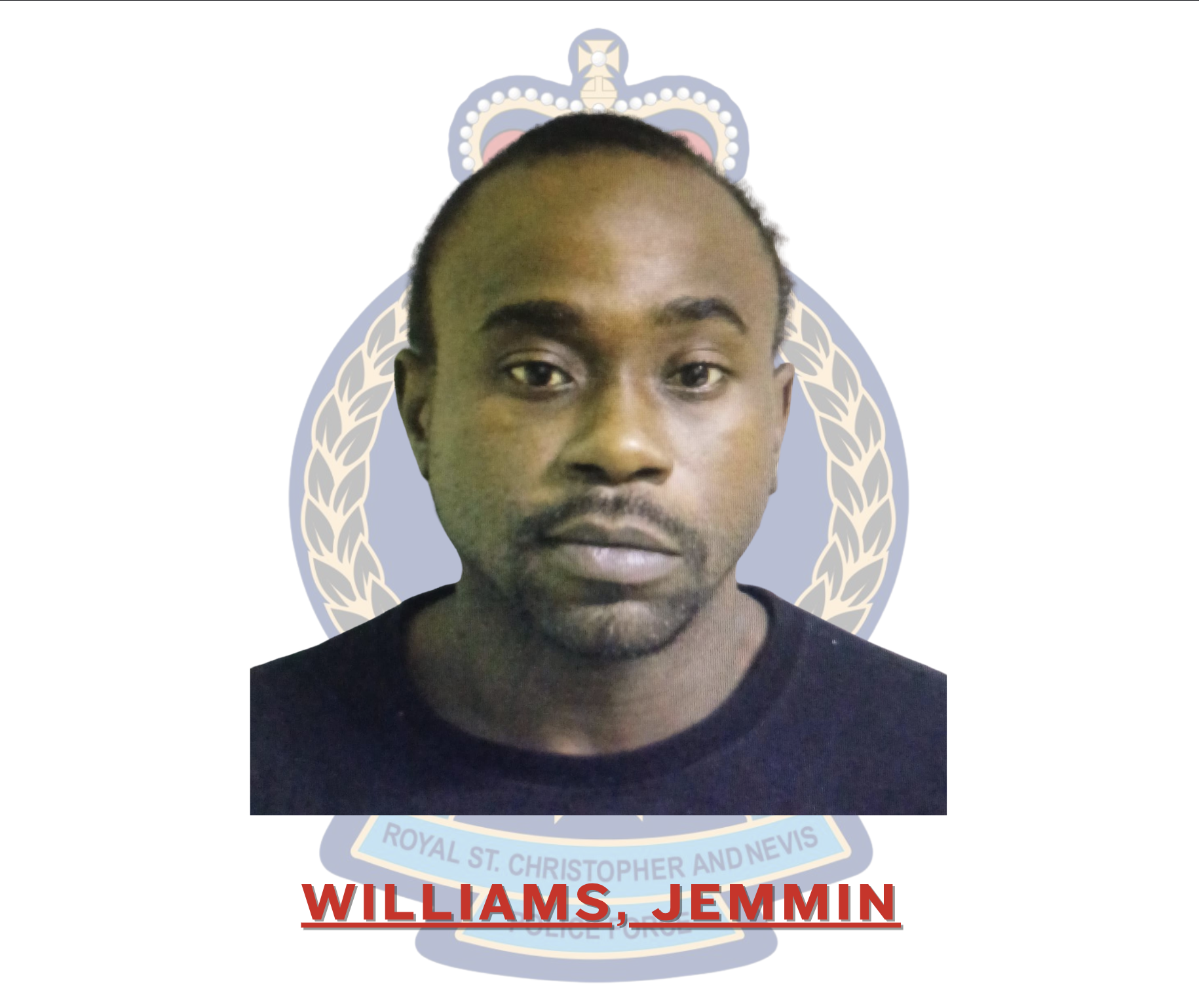 Jemmin Williams Charged with Obtaining Credit by Fraud