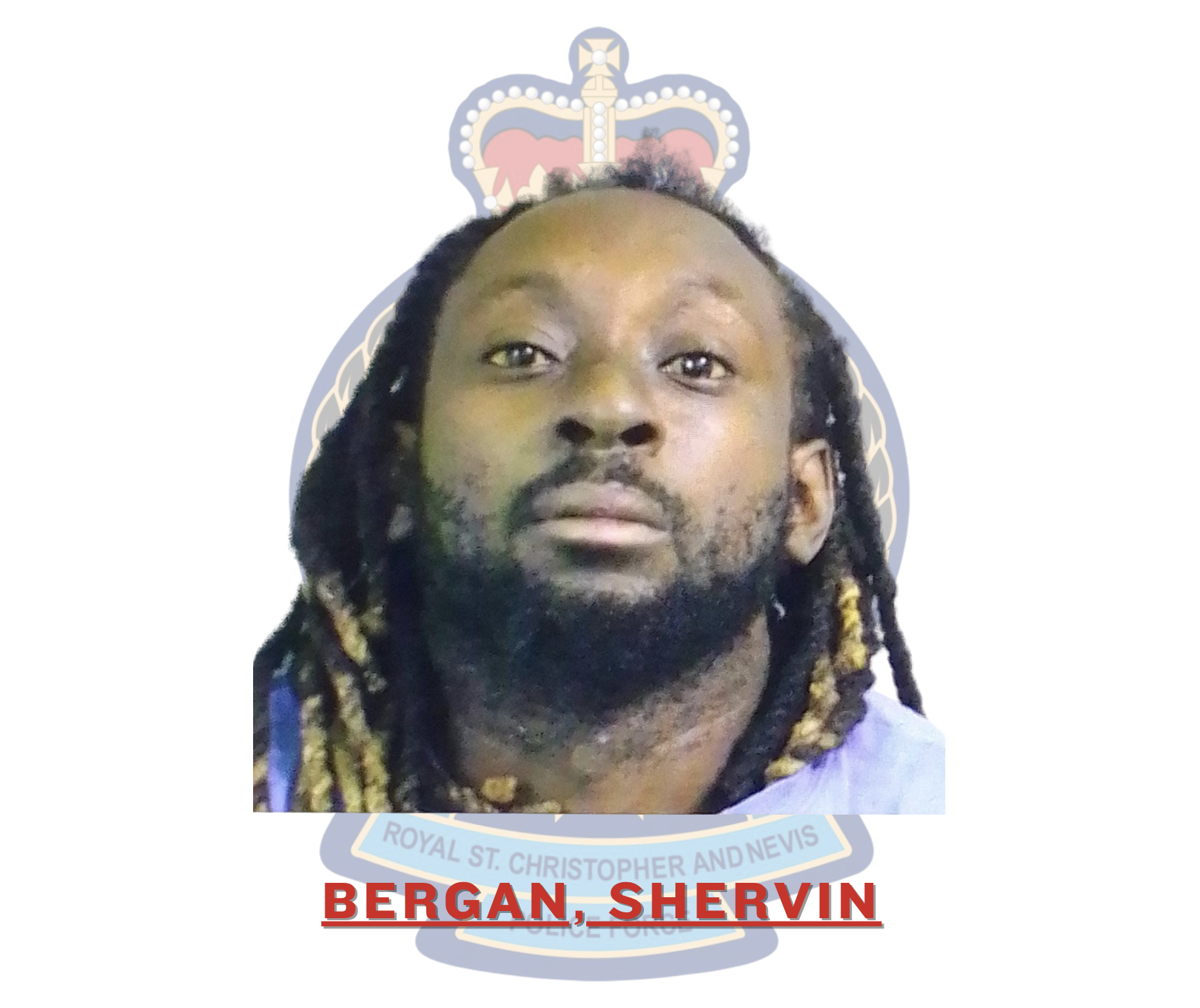 Shervin Bergan Charged with Traffic and Obstruction Offences