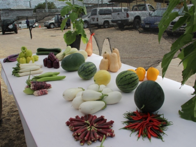 Nevis Agriculture Minister brings message of hope