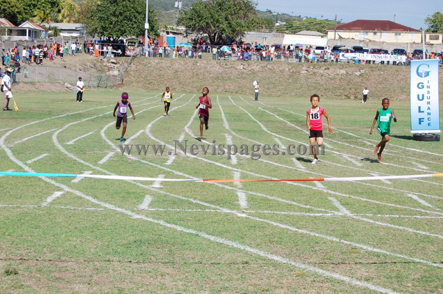 Results On The 2013 Gulf Insurance Primary Schools Championships