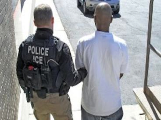Most Caribbean nationals detained in Miami are not criminals