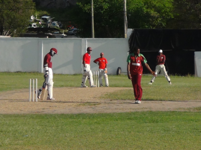 ROSS POWELL SLAMS UNBEATEN HALF CENTURY