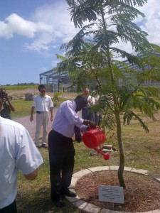 Photo shows St. Kitts and Nevis’ Prime Minister the Rt. Hon. Dr. Denzil L. Douglas watering a tree of the national flower that he planted in on January 31st 2012 on the compound of the Agro-Tourism Demonstration Project. (photo by Erasmus Williams)