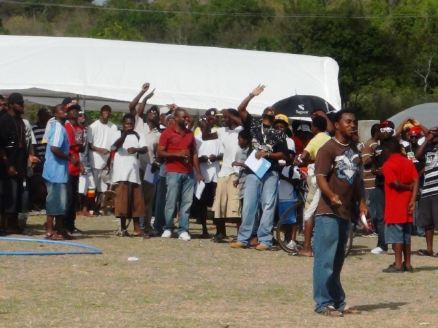 Cabbage Wins Biggest Kite Contest