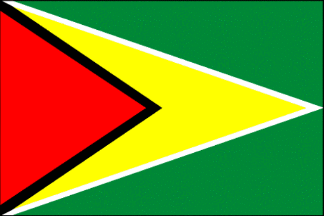 Guyana predicted to see second highest economic growth in South America in 2014