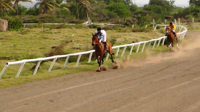 Jockeys Dilemma Lowers Excitement
