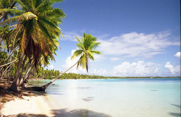 Beauty of beaches no longer enough, says Caribbean competitiveness surve