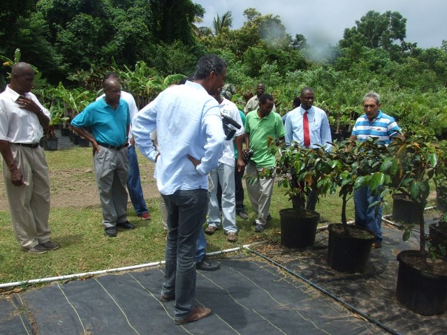 Agricultural Officials Impressed With Kittitian Hill