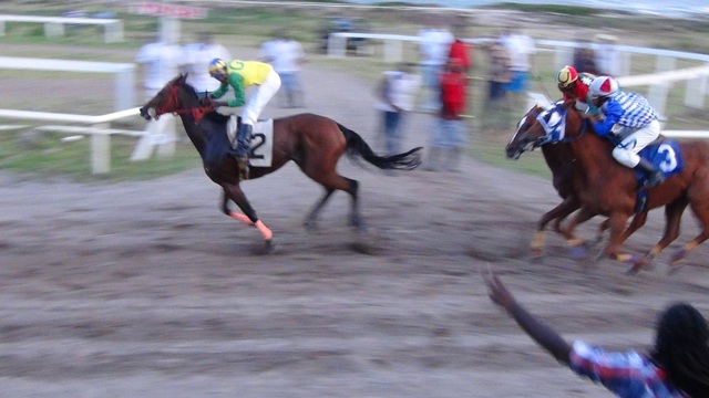 Mr. Big PEPE Storms to Victory- Michael Semple Jockey of the Day
