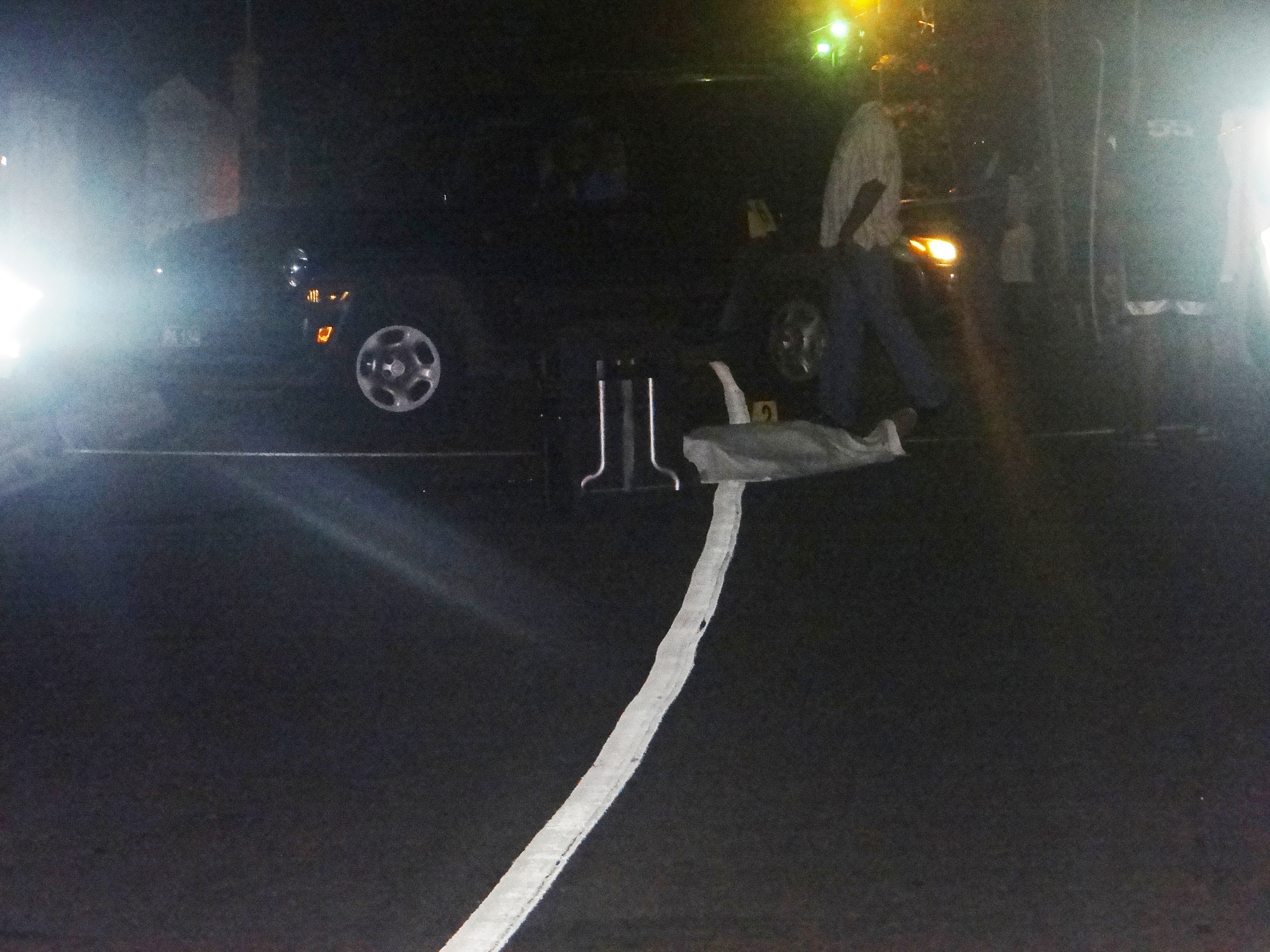 Guyanese national killed in traffic accident is identified