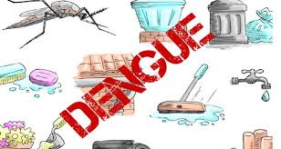 Over 600 confirmed dengue cases so far in Barbados