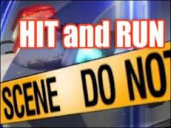 Breaking News:Guyanese national killed in apparent Hit and run incident