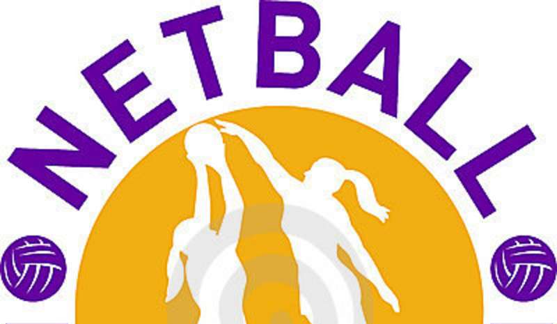Netball : Venomous Vixens-Large and In Charge