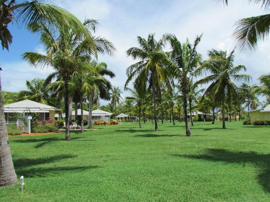 Condé Nast Traveler Readers Name Nisbet Plantation Beach Club, Nevis, One of the Caribbean’s Best