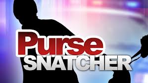 Irish Town Purse Snatcher Apprehended By Police