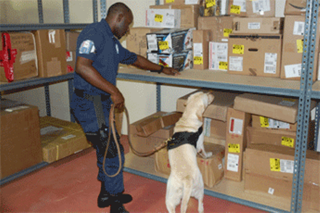 Arms and ammunition found hidden among detergent in imported barrel of foodstuff