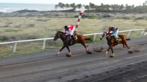 Scenes from horse race