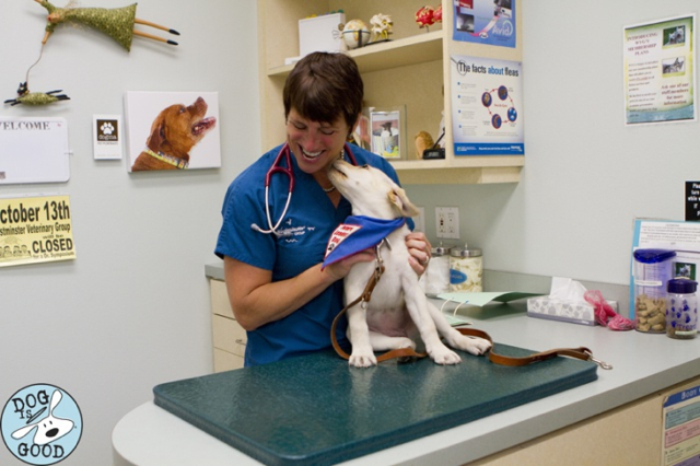 World Vets Visit Volunteer Request
