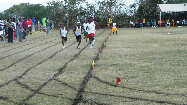 Red House Dominates At SJPS
