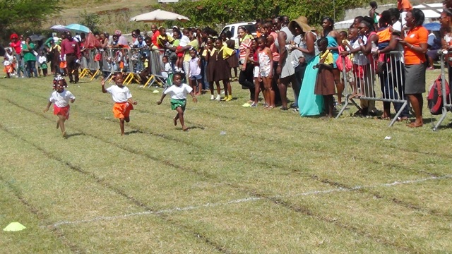 Orange House Prevails At Inez France