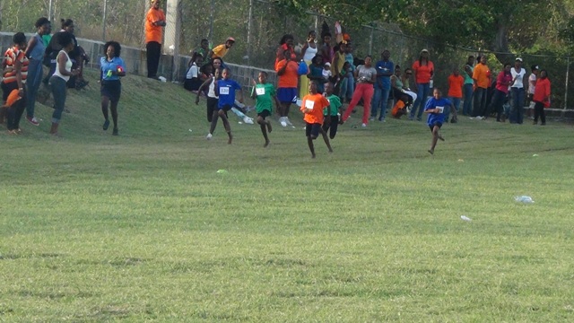Sparrows fly to victory at   STPS