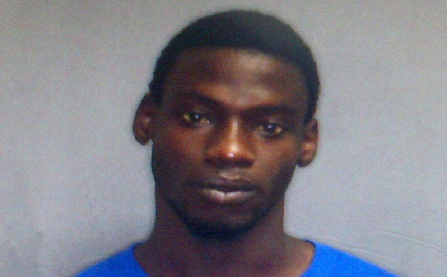 Two more persons sentenced for gun and ammunition possession