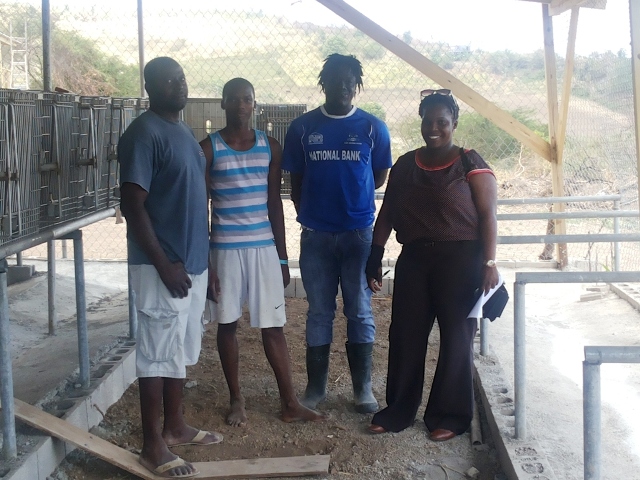 Farmers to benefit from monkey capturing project