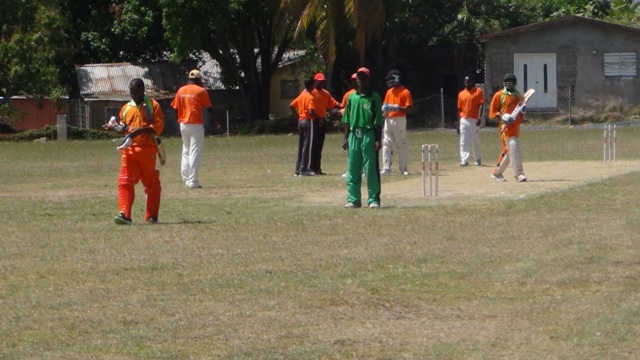 ALLS STARS WIN Cricket Contest at Cotton Ground Fun day
