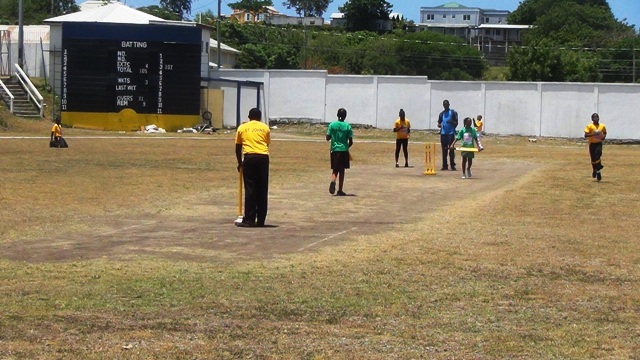 Kiddies Cricket Festival Held In Nevis