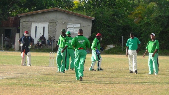Calypso Cricket Wins in Cricket Festival