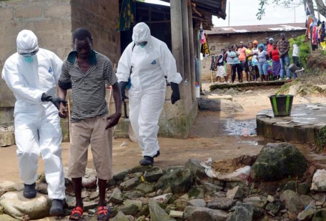 Origin Of Ebola Outbreak May Be A Bat And Virus Has Rapid Mutation Rate