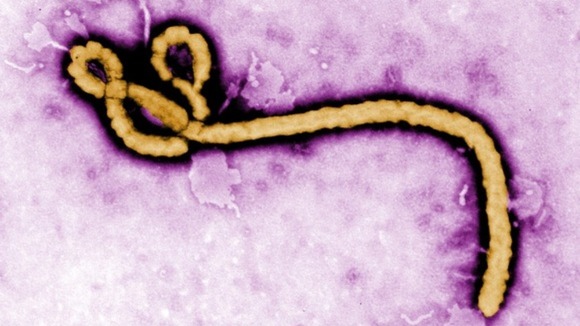 CARPHA says no case of Ebola in the Caribbean, but monitoring continues