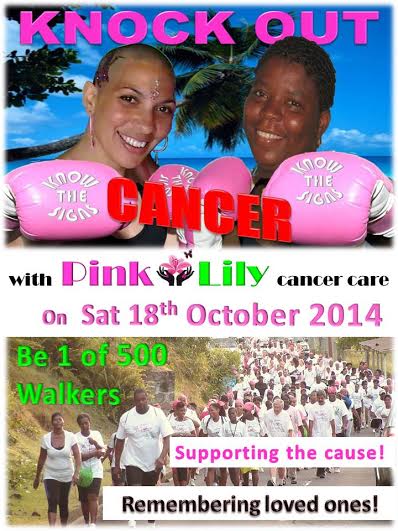 Pink Lily Cancer Care needs your help…to knock out cancer