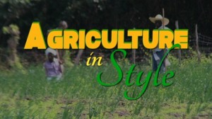 The logo for “Agriculture In Style”, a programme showcasing agriculture on Nevis which airs on international television network Tempo