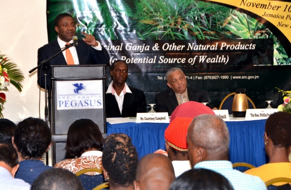 Regulations To Be Put In Place For Medicinal Ganja Industry