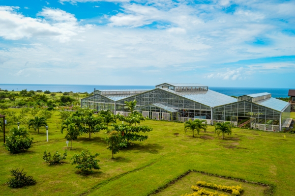 St. Kitts-Nevis Opens Largest Greenhouse In The Caribbean